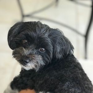 Meet your Posher, Janeal